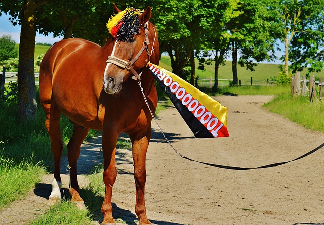 哈兰德身价飙升至2亿欧元，与亚马尔并列世界第一