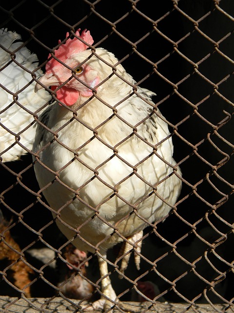 于根伟：没想到在云南客场也被喊“于白旗”，不知怎么招惹的